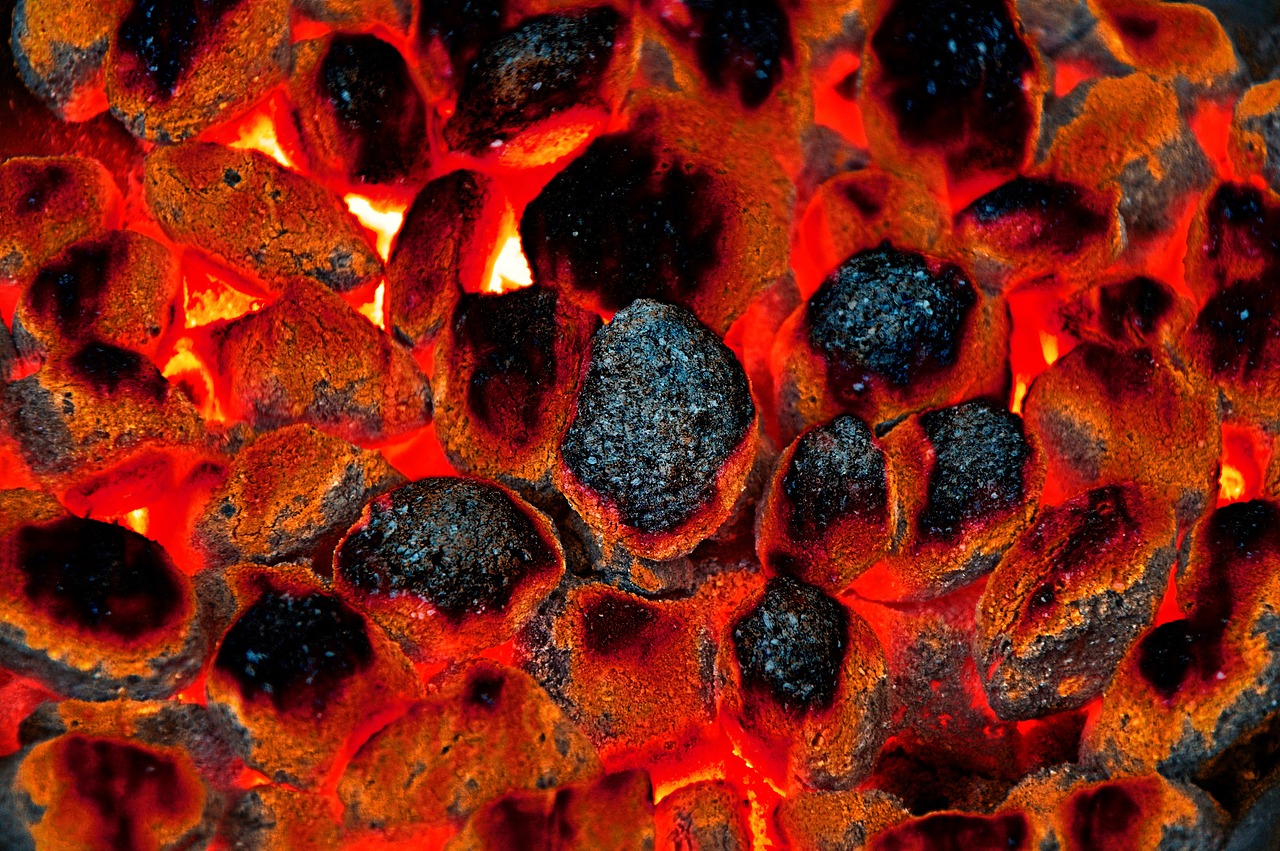 money, eggs briquette, briquettes-3185011.jpg